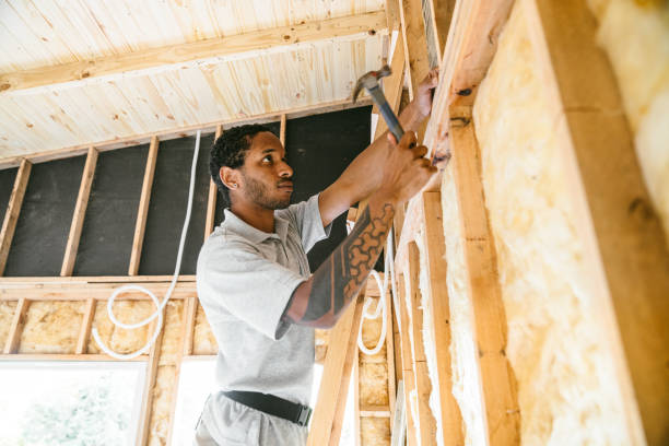 Best Insulation Removal  in Dover, FL